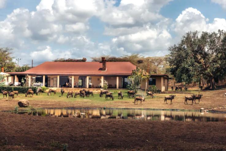 Wildlife Residence Tuvaila ภายนอก รูปภาพ